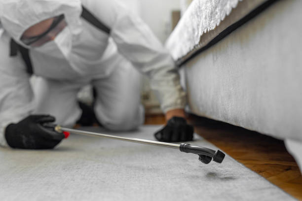 Professional Termite Control technician working in Warrenton, MO