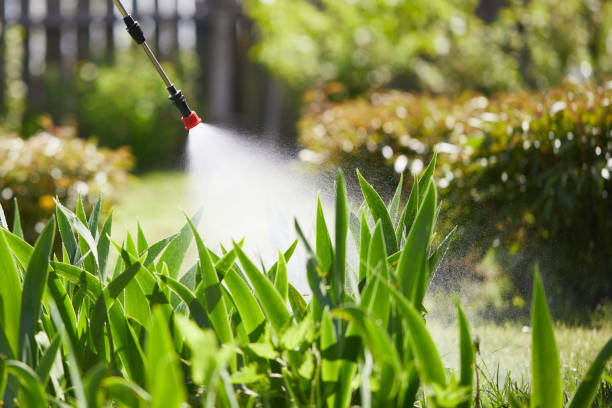 24/7 Emergency Termite Control experts in Warrenton, MO